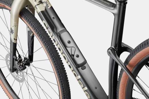 cannondale Topstone Carbon 4 CUES 1x11 -fach, platinum