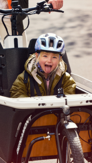 Bergamont E-CARGOVILLE LJ ELITE, 70 cm, Bosch Cargo Line, Enviolo Automatik, 750 Wh.-Akku, Kiox 300