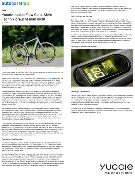 YUCCIE Junico Flow, sage green shiny, Bafang Heckmotor mit Zahnriemen und Zweigangautomatik, 360 Wh.-Akku