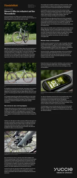YUCCIE Junico Flow, sage green shiny, Bafang Heckmotor mit Zahnriemen und Zweigangautomatik, 360 Wh.-Akku
