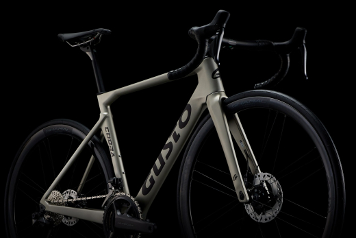 COBRA EVO ELITE ULTRA, titanium grey