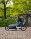 Bergamont E-CARGOVILLE LJ ELITE, 70 cm, Bosch Cargo Line, Enviolo Automatik, 750 Wh.-Akku, Kiox 300
