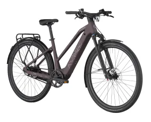 Bergamont HELIX 10 Belt Slope mit Zahnriemen