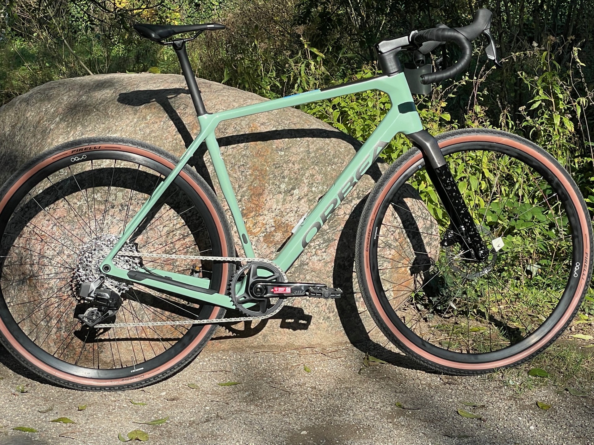 Orbea Terra M31eTEAM IX, SRAM RIVAL AXS 1x12, Lichen Green-Anthracite glitter