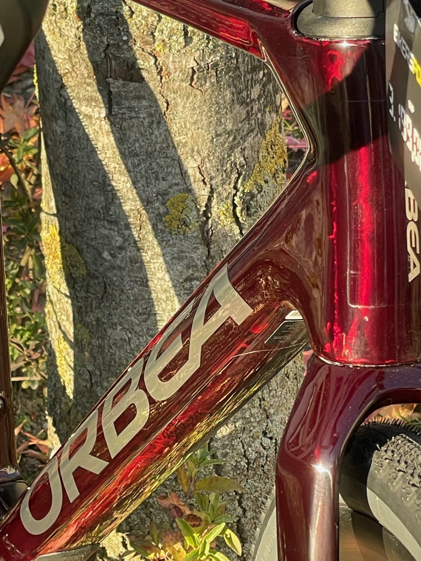 Orbea Terra M30 TEAM IX, GRX822 1x12-speed, Wine Red Carbon View